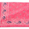 R. Hanauer Pink Cotton Voille Pine Pocket Square -Fashion Clothing 5066 PS 544x416 56078.1659466105