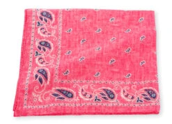 R. Hanauer Pink Cotton Voille Pine Pocket Square