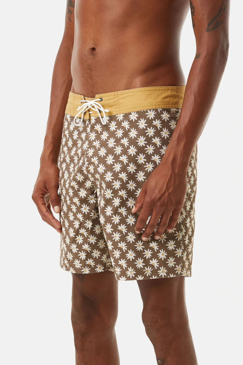 Katin Mache Trunk: Bark 3 Katin Mache Trunk: Bark