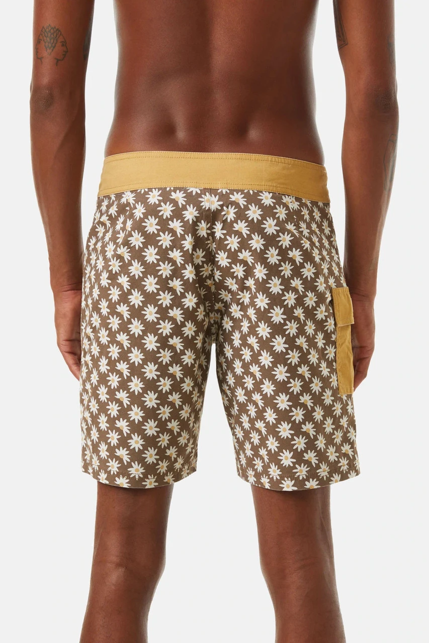 Katin Mache Trunk: Bark 8 Katin Mache Trunk: Bark - Image 6