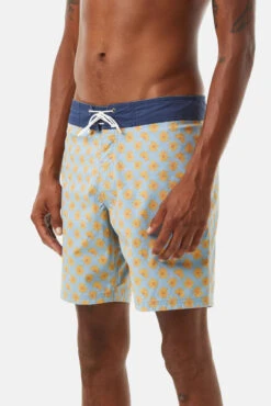 Katin Mache Trunk: Tradewinds