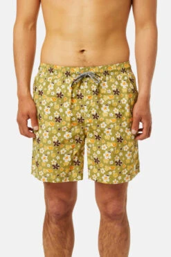 Katin Meadow Volley: Pimento