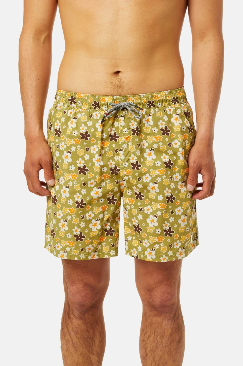 Katin Meadow Volley: Pimento 3 Katin Meadow Volley: Pimento